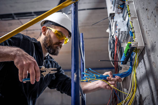 Best Best Electricians Near Me  in Forest City, IA