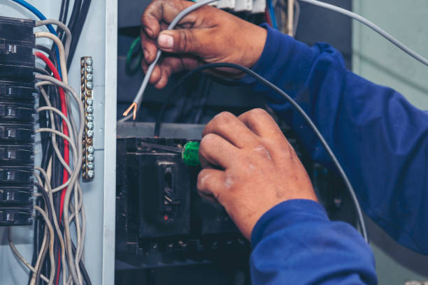 Best Local Electrician Companies  in Forest City, IA