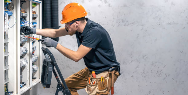 Best Home Electrical Repair  in Forest City, IA